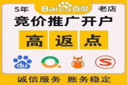 SEM公司成功案例分享：搜索引擎优化的力量